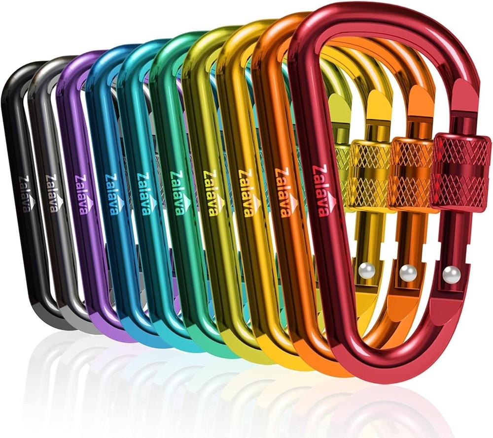 Locking Carabiner Keychain Clip Durable D Clip Hook 10 Pack