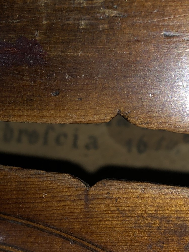 Violin Giovan Paola Maggini