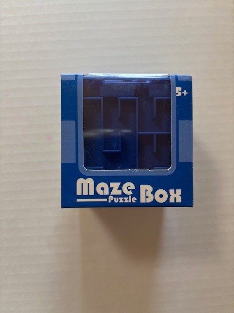 Maze Puzzle Box Bank  Navy