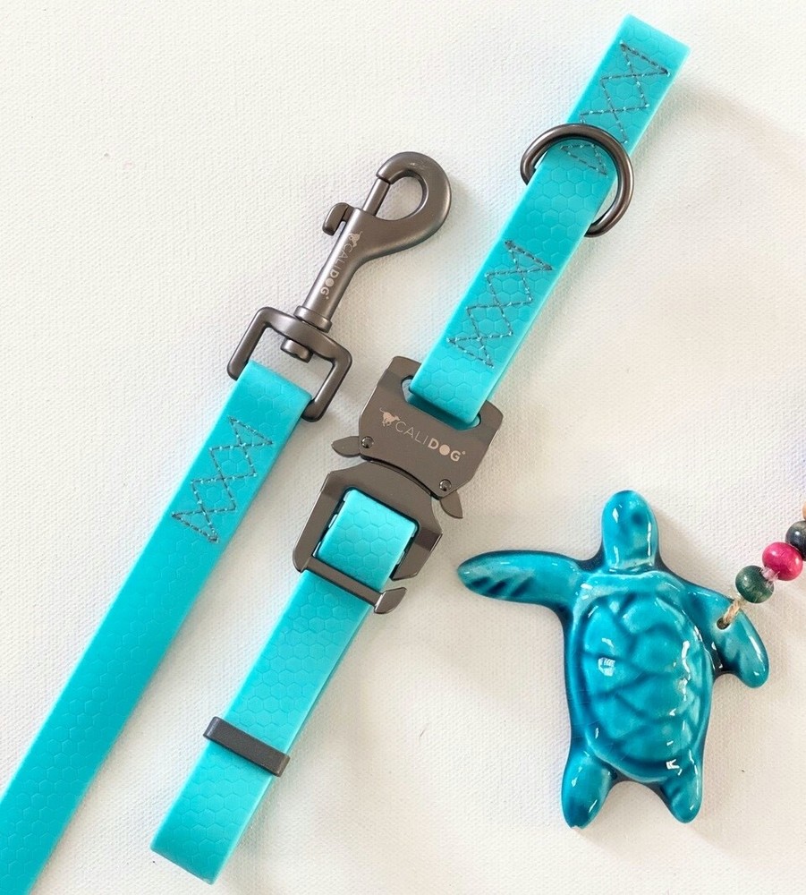 CALIDOG Aquamarine Waterproof Leash and Collar Set.