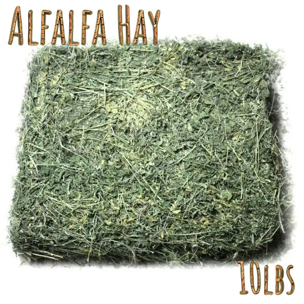 Alfalfa Hay for Rabbits & Small Pets 10 lbs