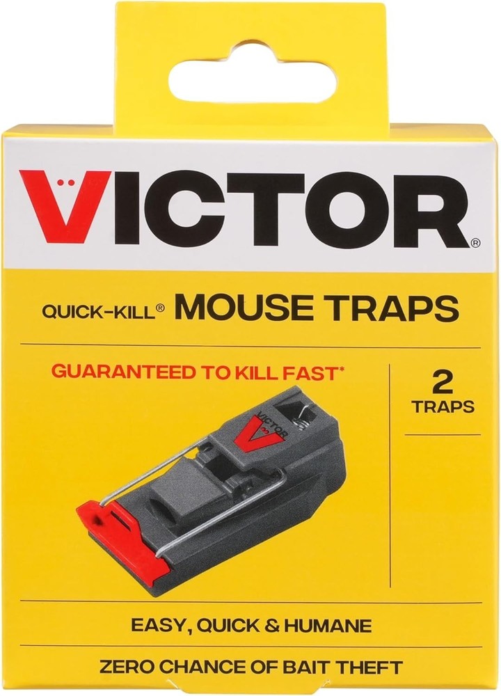 Victor M123ssr 6-pack Quick-kill Mouse Trap, Gray, Plastic