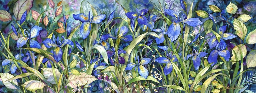 Ceramic Tile Mural Kitchen Backsplash - Blue Iris - Floral Flower Art