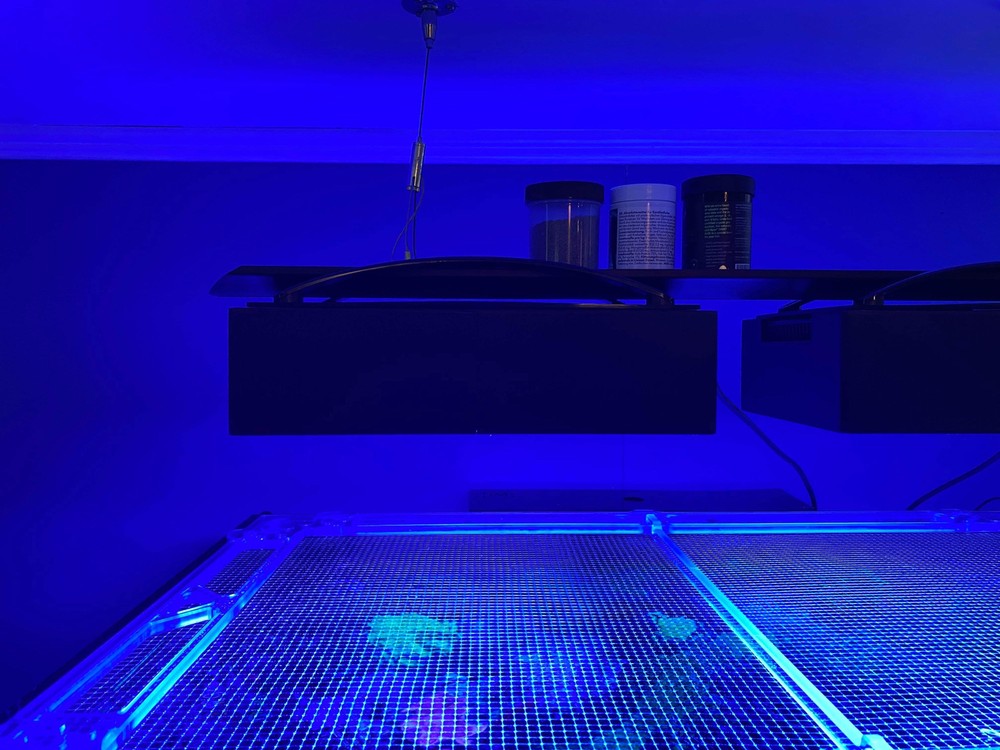 Ecotech XR30 Diffuser