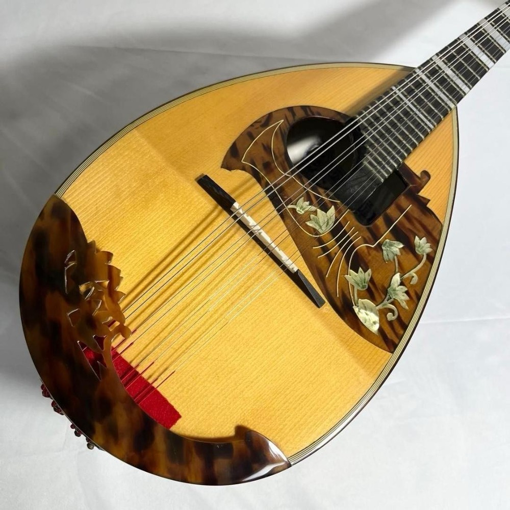 Mandolin Raffaele Calace Type15 raffaele calace