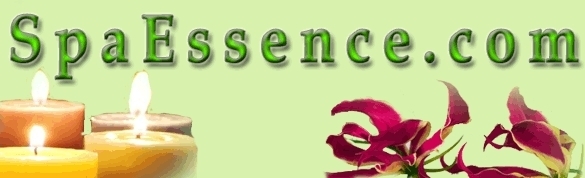 SpaEssence, Premium Domain Name