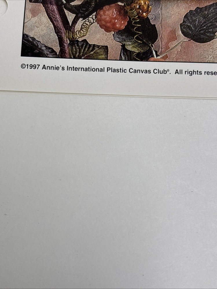 Angel Checkerboard Annie's Attic Plastic Canvas Pattern Page