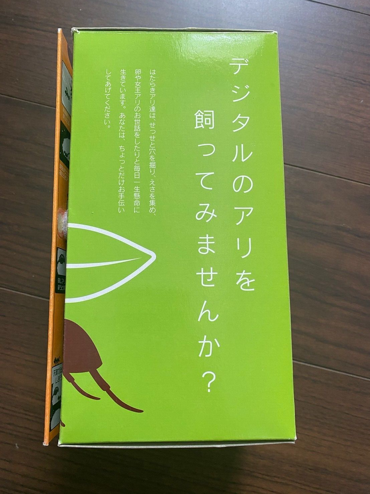 ant's life studio Desktop digital ant breeding simulation BANDAI 2006 tested