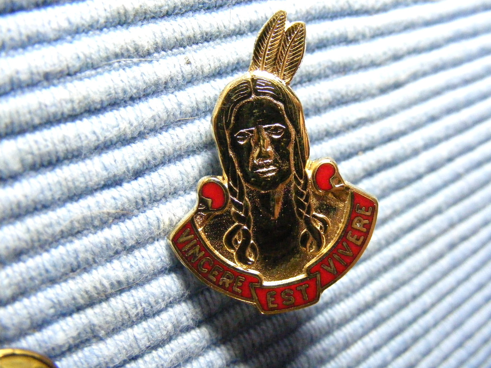 101st Field Artillery Unit Crest