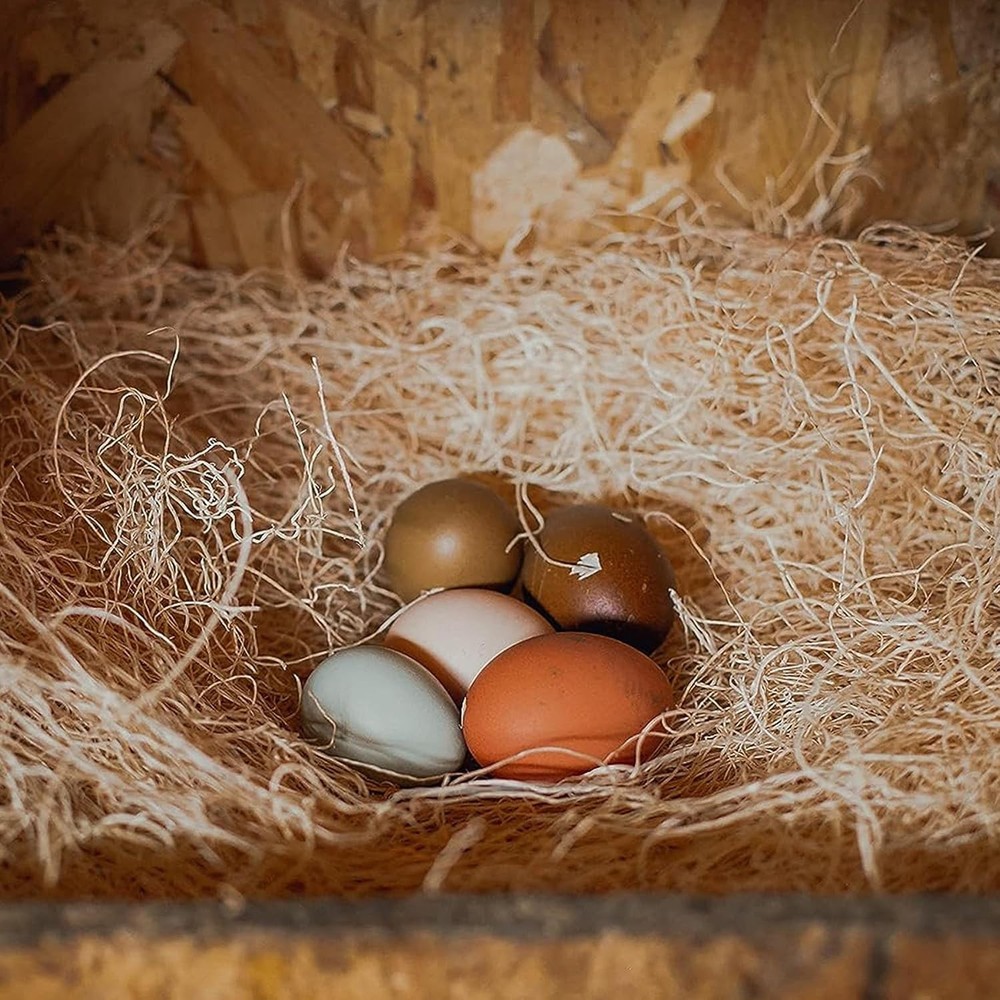 Soft & Eco-Friendly Aspen Nesting Pads - 10 Pack for Stress-Free Egg Collecting