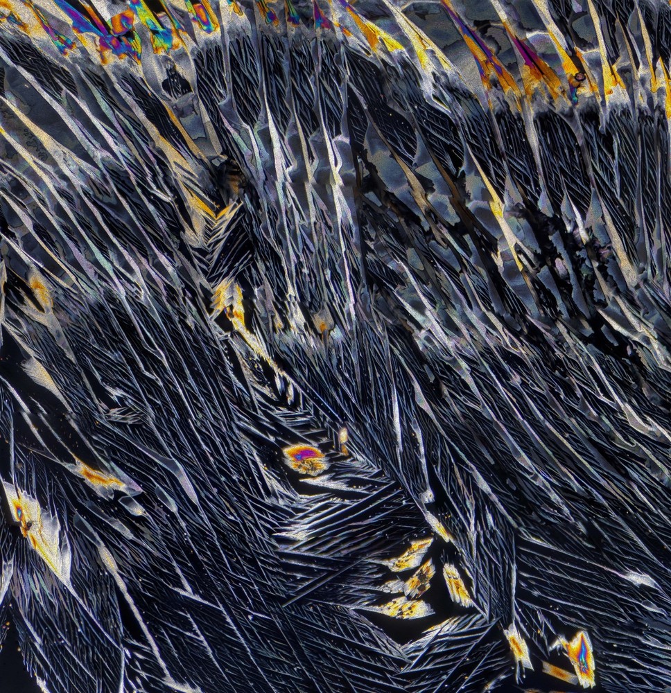 Microscope slide for polarization, SULFUR