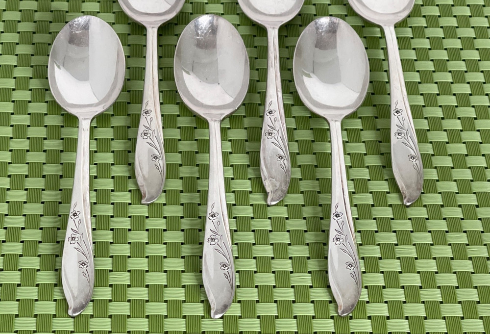 1847 Rogers Bros SPRINGTIME International Silver plate 6 Teaspoons Flatware