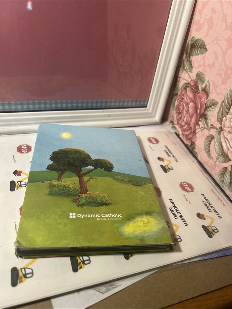 First Holy Communion Blessed Sacrament Dvd Gift Set Dynamic Catholic