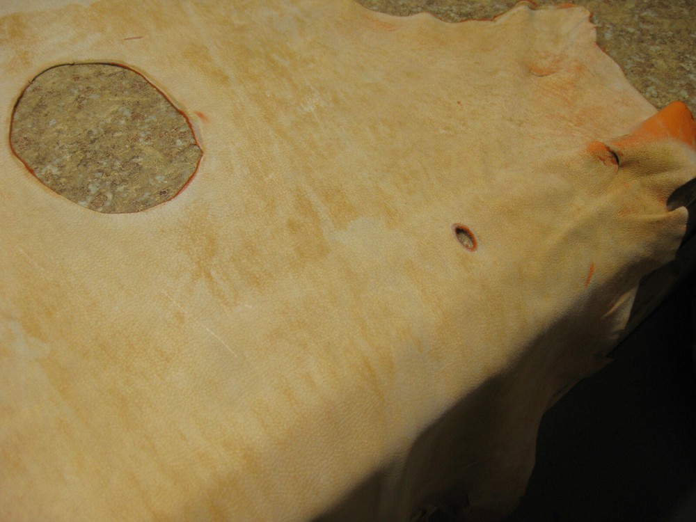 Buffed Top Grain Deer Leather R - 31 # 00008793