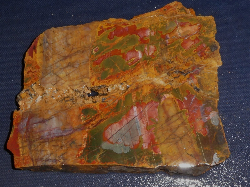 Cherry Creek Jasper 4 1/2"  x 4"-rough for cabbing-display, science