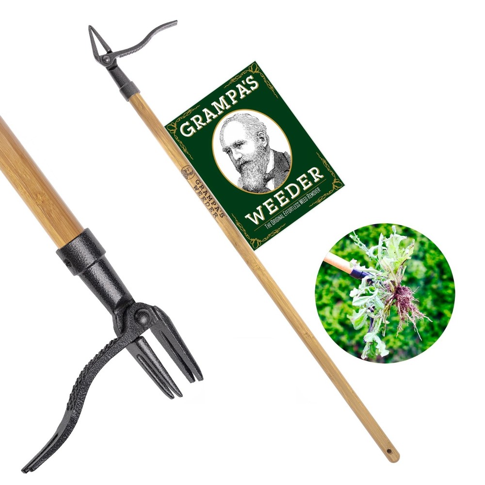 Stand Up Weed Puller Tool - Long Handle, Bamboo & 4-Claw Steel Head - No Bending