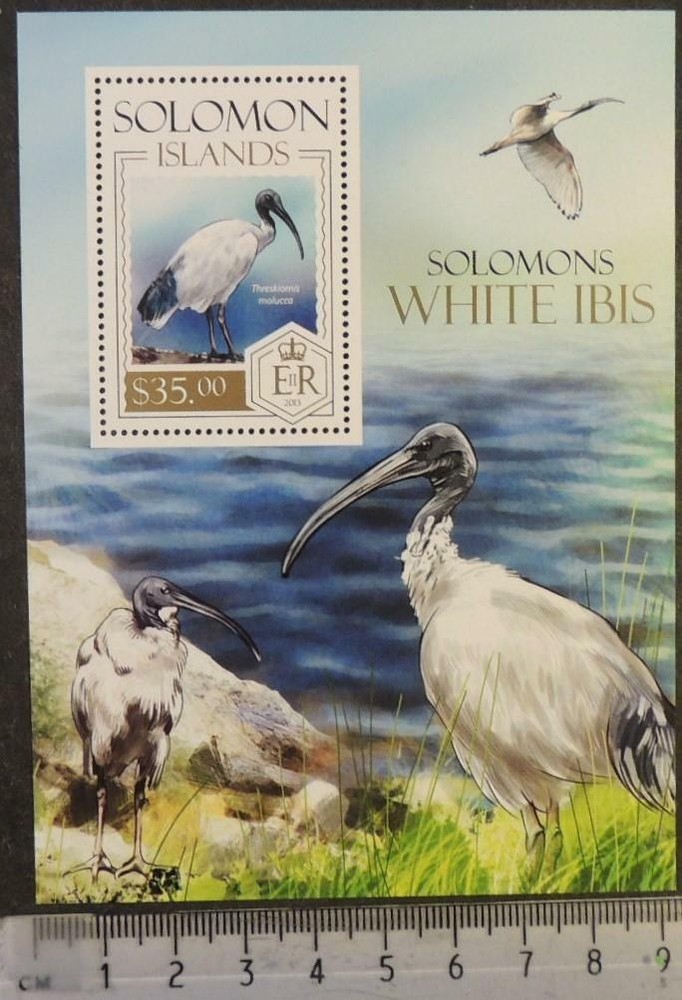 Solomon Islands 2013 birds white ibis s/sheet mnh