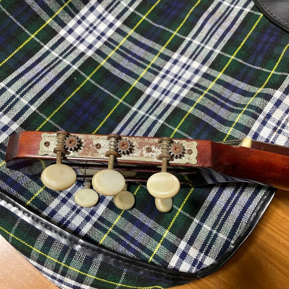 Hashimoto Gut Guitar No232