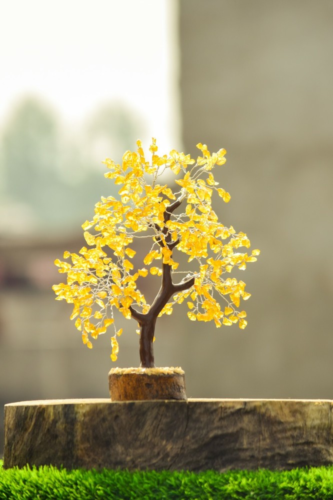Gemstone Citrine 500 Chips Gem Tree