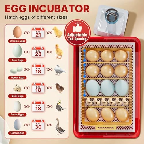 Incubators for Hatching Eggs 15-35 Eggs Incubator with Automatic Egg Red