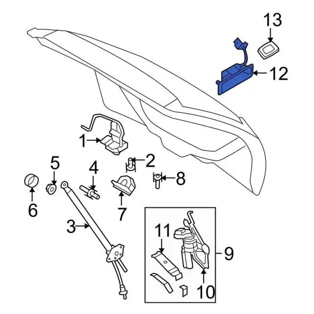 Genuine Ford Lift-Gate Latch Handle 7A1Z13508APTM
