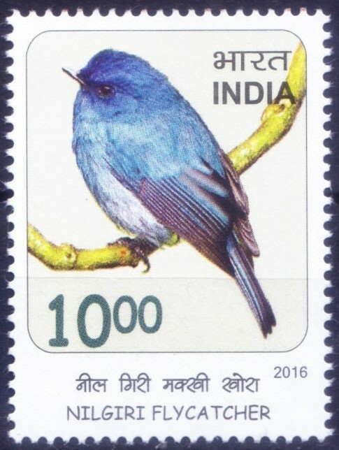 Nilgiri Flycatcher, Birds, India 2016 MNH