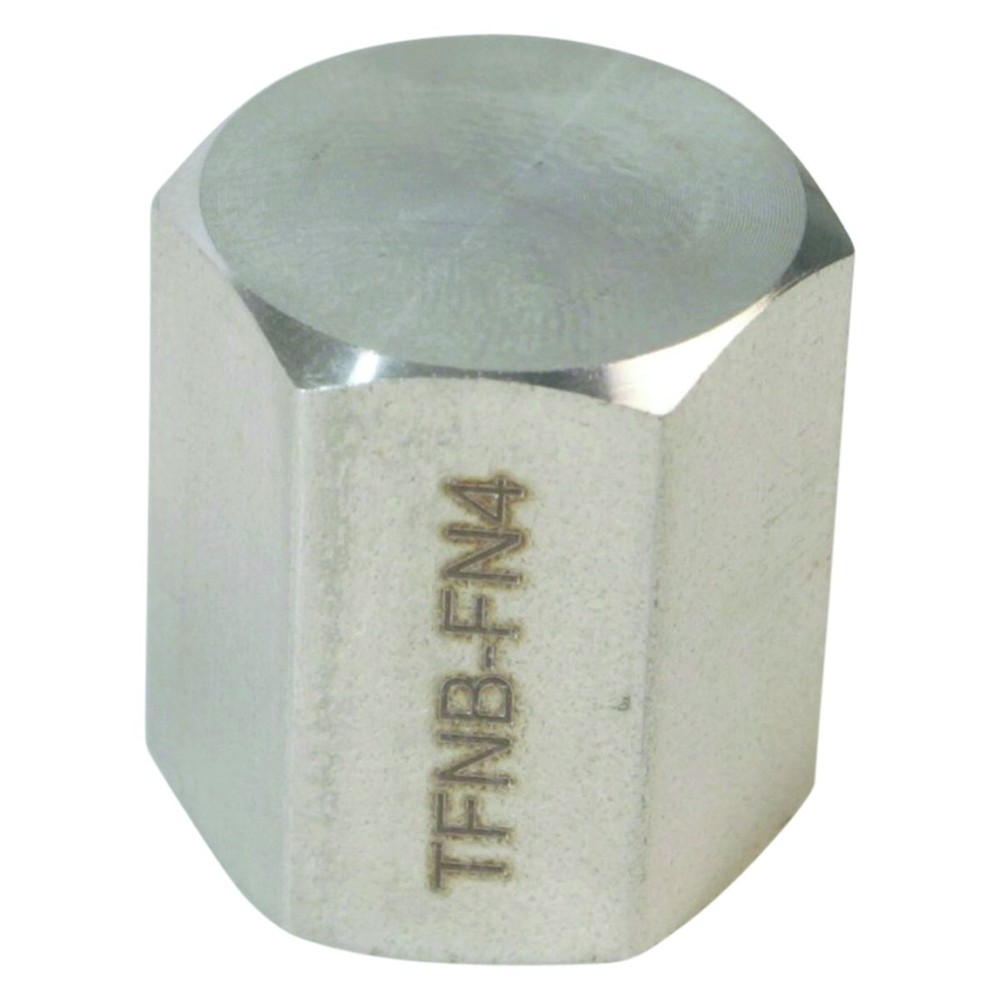 Threaded NPT Cap | FNPT 1/4 inch - SS316 (2 Pack)