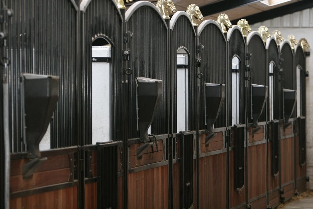 iFEED (2) Two Stall Starter Pack Automatic Horse/Livestock Feeder