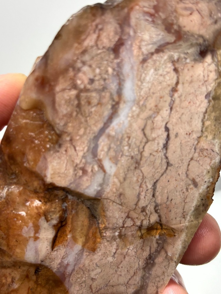 Pink Jasper/Agate Slab Cabbing Lapidary Combo Ship Avail