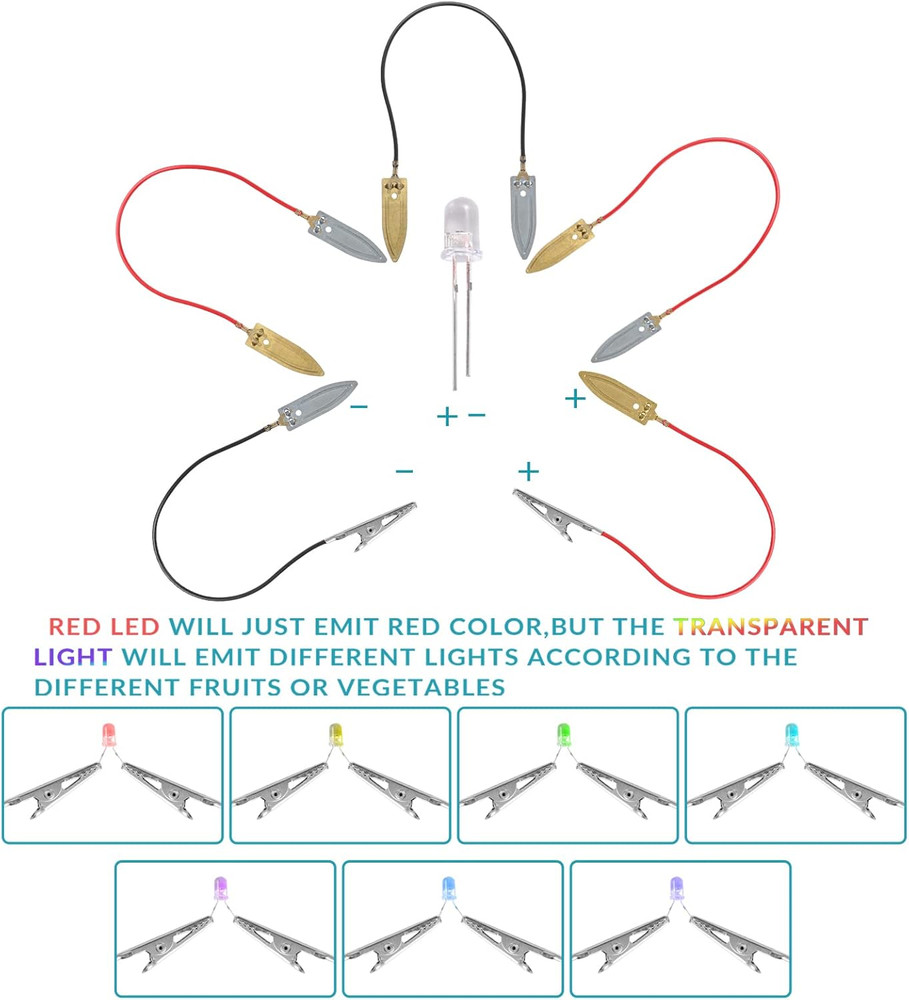 Fruit Battery Science Experiment Kit with Instruction, Potato Science Educationa