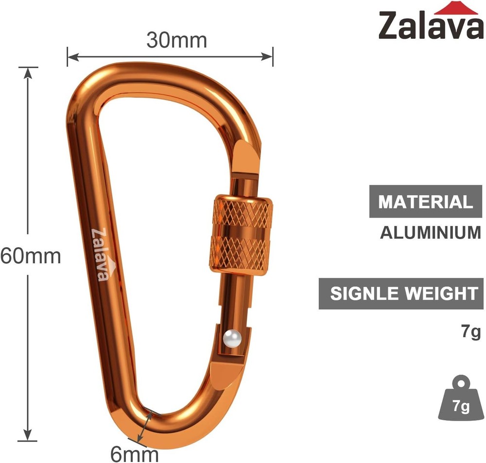 6pcs 2”D-Clip Durable Locking Carabiner Keychain Clip with Hook
