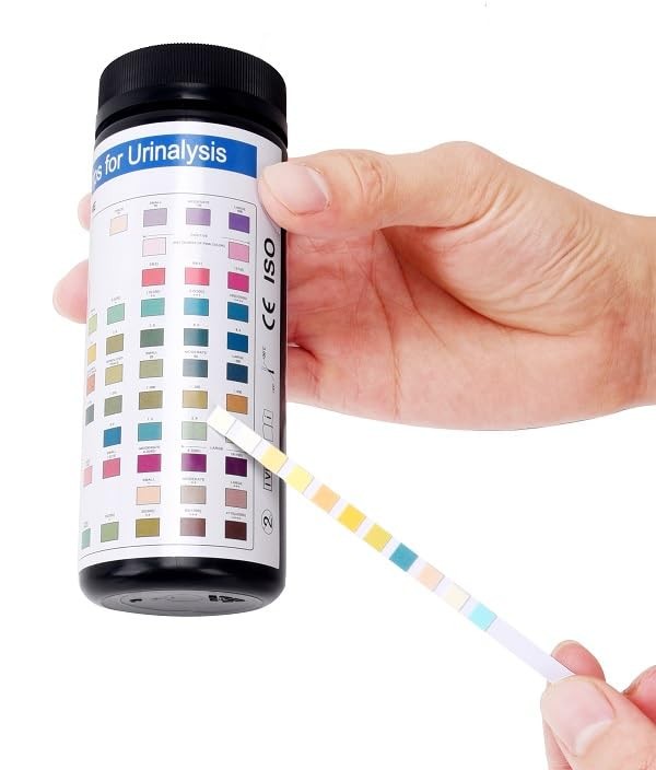 120 Count Urine Rapid TestStrips 11 Parameters UTI Liver Kidney Function