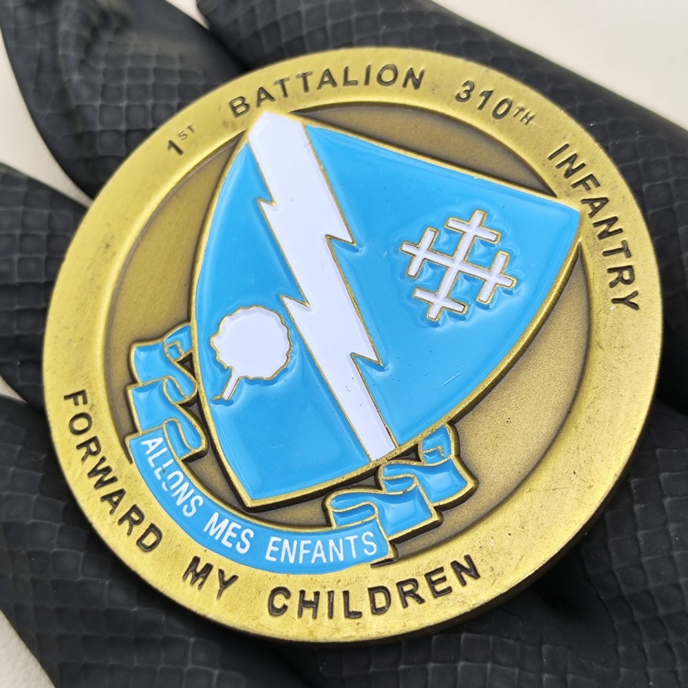 US 1st Battalion 310t Infantry Challenge Coin