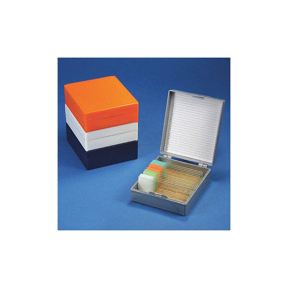 GLOBE SCIENTIFIC  Microscope Slide Box,White 55FH58