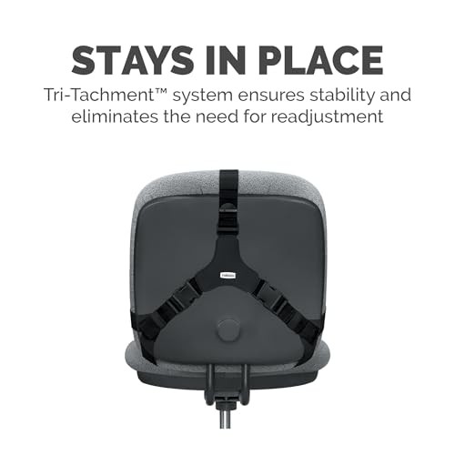 FELLOWES PROFESSIONAL SERIES BACK SUPPORT, BLACK (8037601) - BLACK