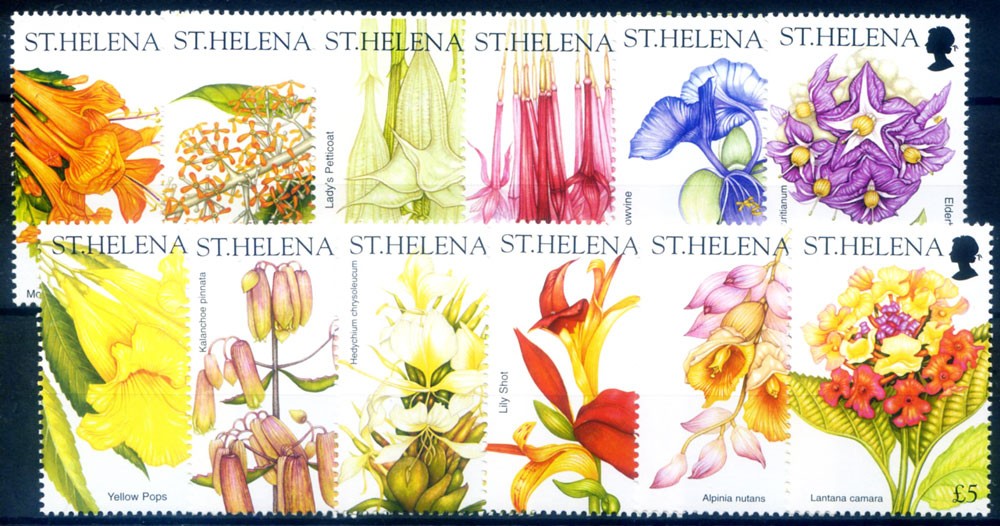 St. Helena. Definitive. Flowers 2003.