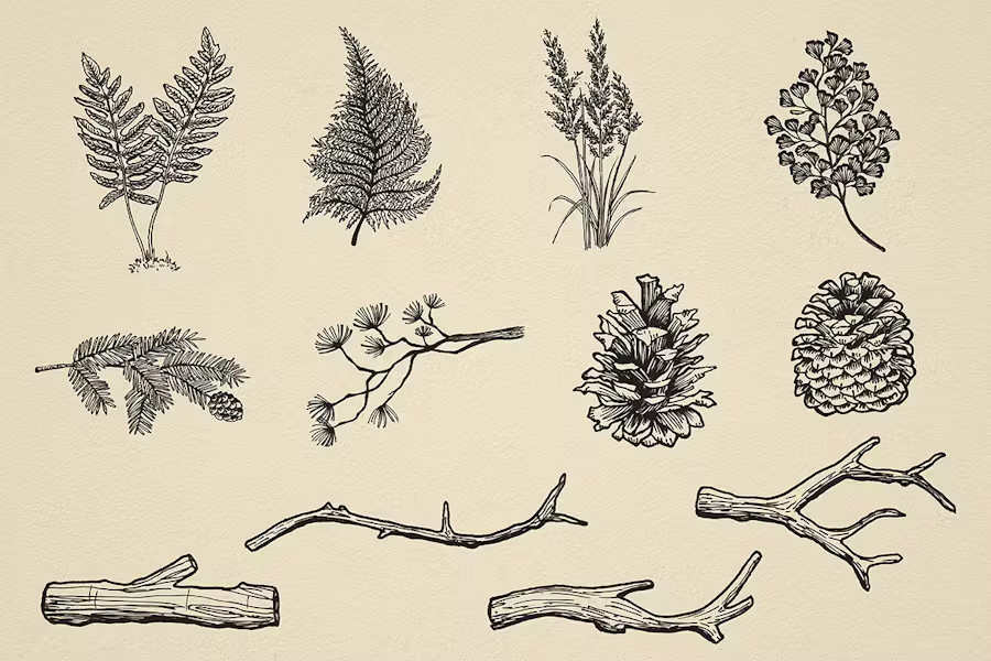 TRENDING Nature Forest Hand-Drawn Vector Elements - 31 Unique Illustrations