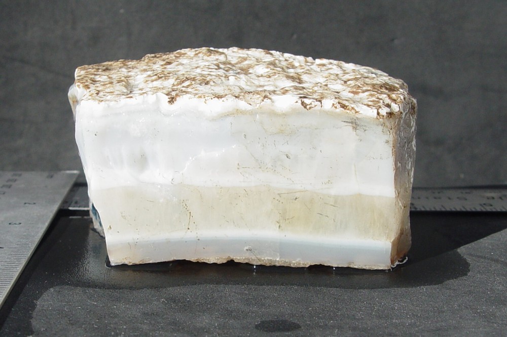 White Seam Agate Small Lapidary Rough T1043