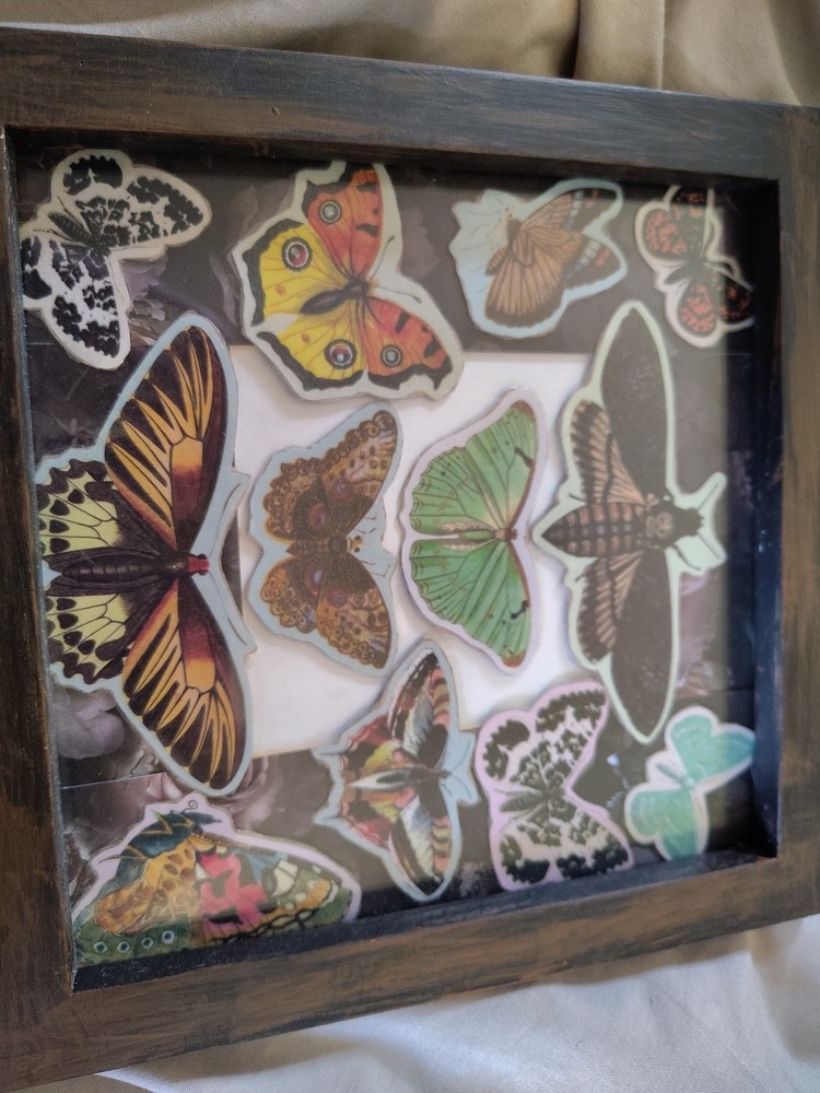 Handmade Framed Moth Artwork