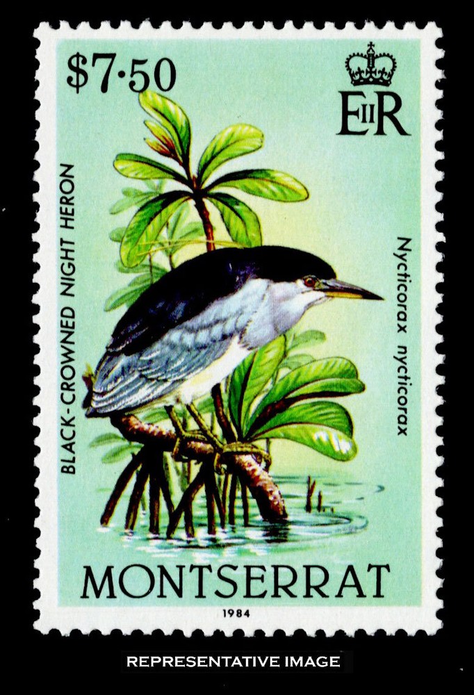 Montserrat Scott 537 Mint never hinged.