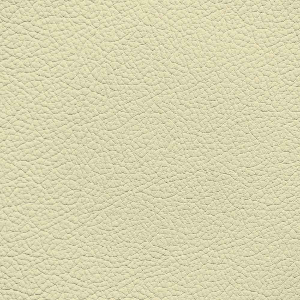 Audi Cream Beige Leather Dye