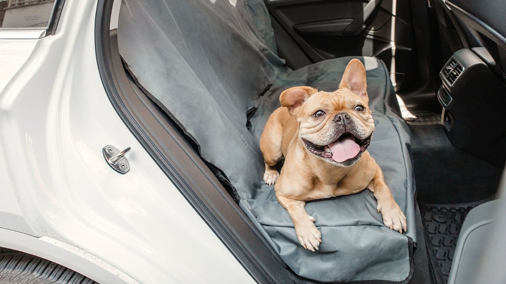 GF PET Pet Cargo Cover
