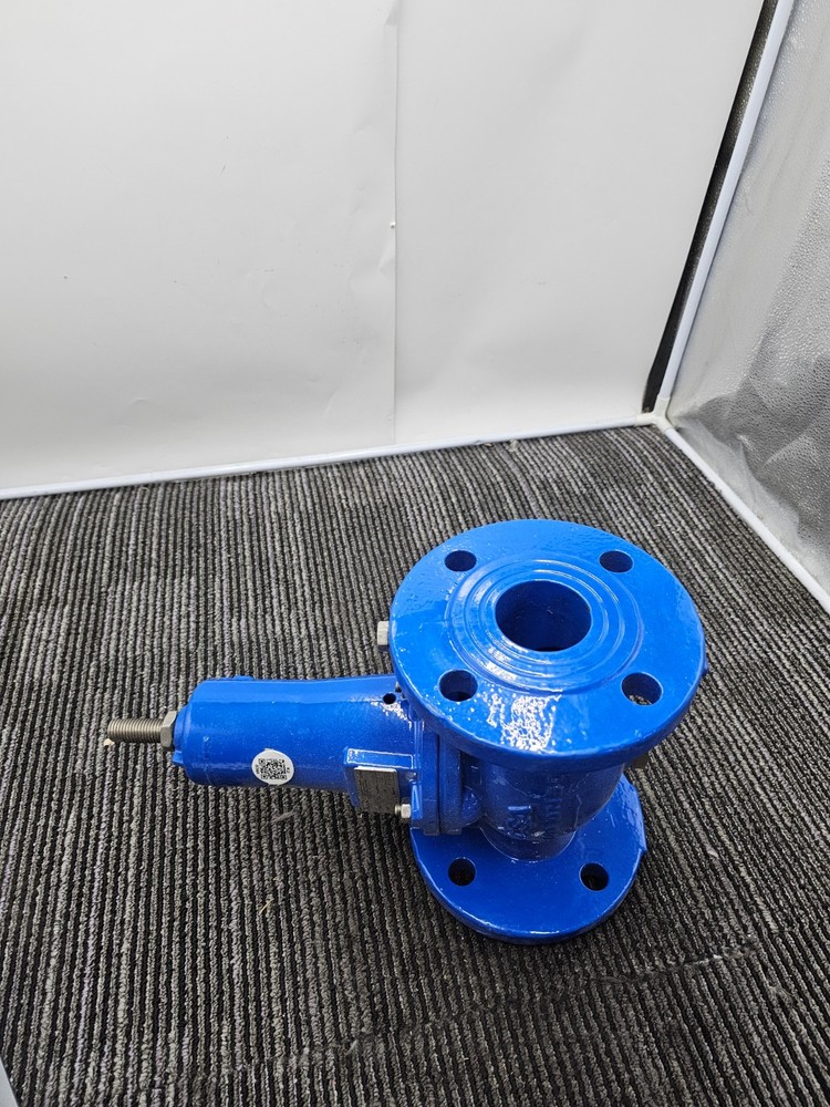 CSA VRCD DN50 Direct Acting Pressure Reducing-Stabilizing Function 1.5-6BAR