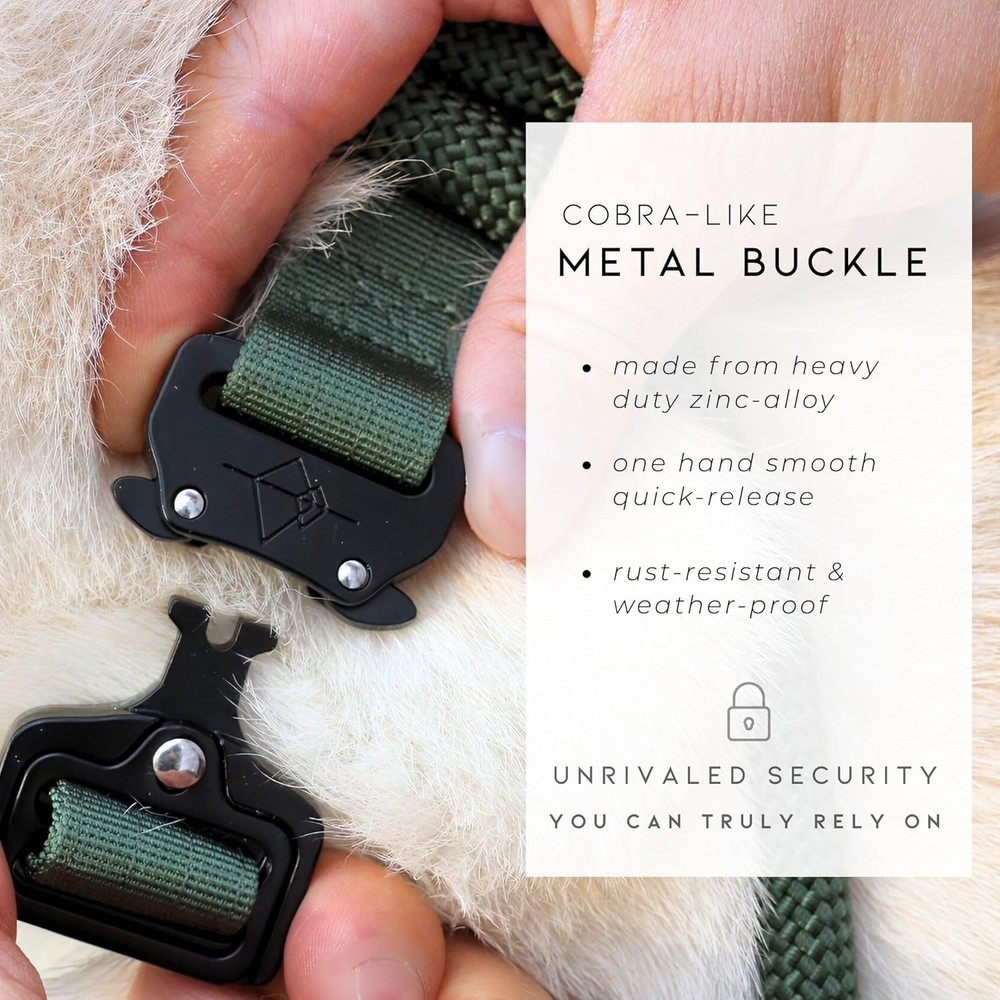 Nylon Dog Collar - Adjustable, Quick-Release Buckle