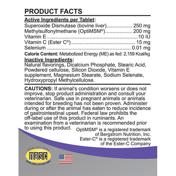 Comfort Antioxidant Immune Support for Dogs