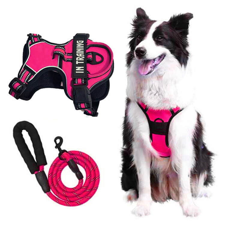 No-Pull Dog Pet Harness + Leash Reflective Control Adjustable Collar Handle