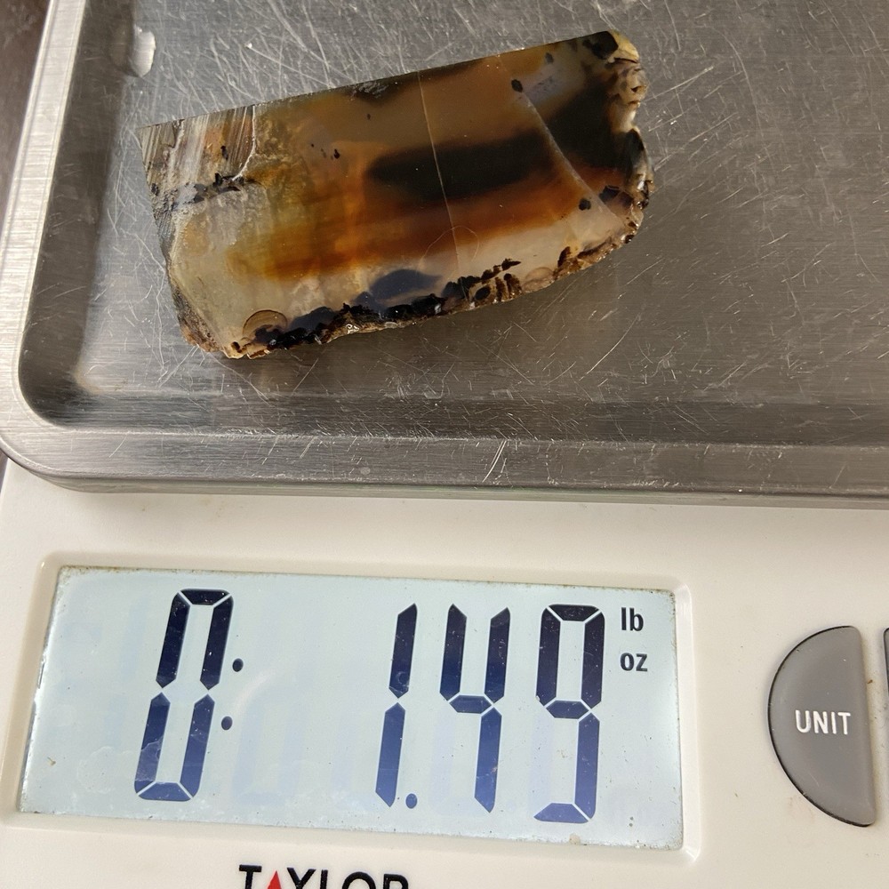 Montana Agate Unique Optical Depth 1.49 Oz