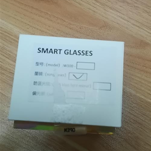smart Glasses