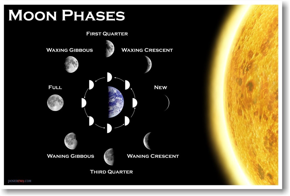 Moon Phases - Classroom Science Poster