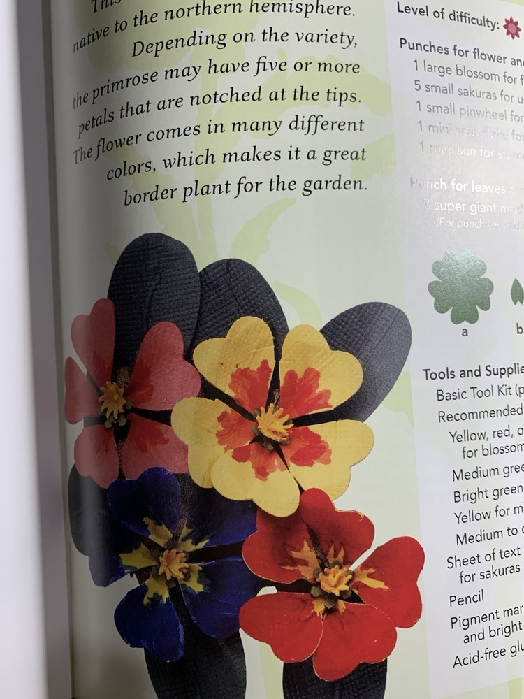 Paper Bouquet Making 3 Dimensional Flowers Book